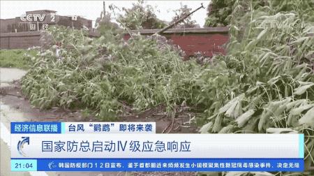 超強(qiáng)臺風(fēng)鸚鵡來襲，最新路徑動態(tài)全解析???