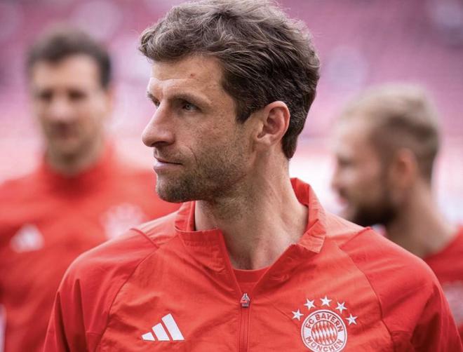 慕尼黑最新動態(tài)，城市生活的溫馨日常