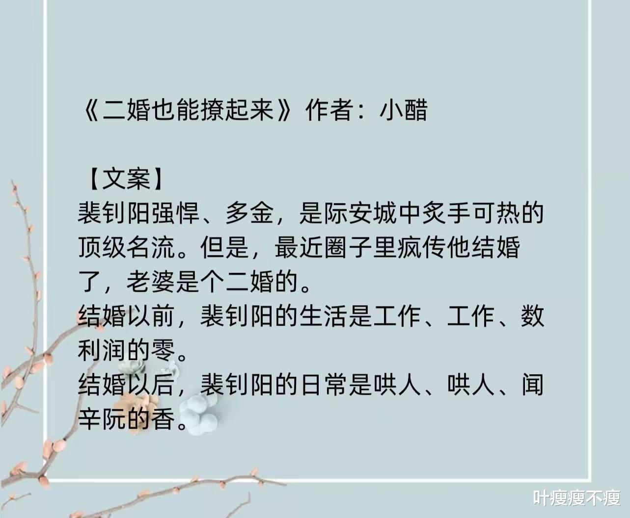 最新二婚小說，小巷深處的浪漫故事