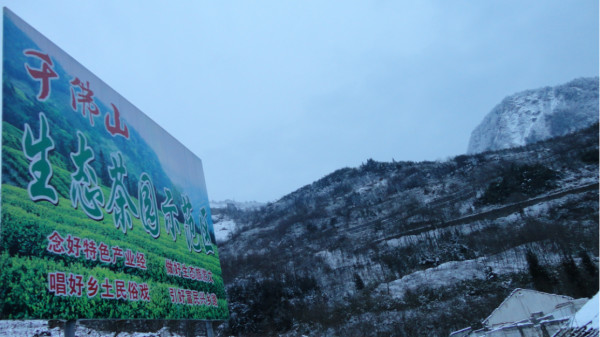 千佛山綿陽最新探索，巷弄深處的獨特風味之旅