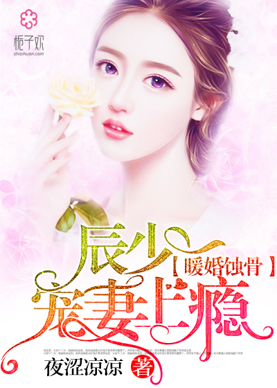 陸少寵上癮最新動態(tài)，日常趣事與真摯友情的獨特魅力