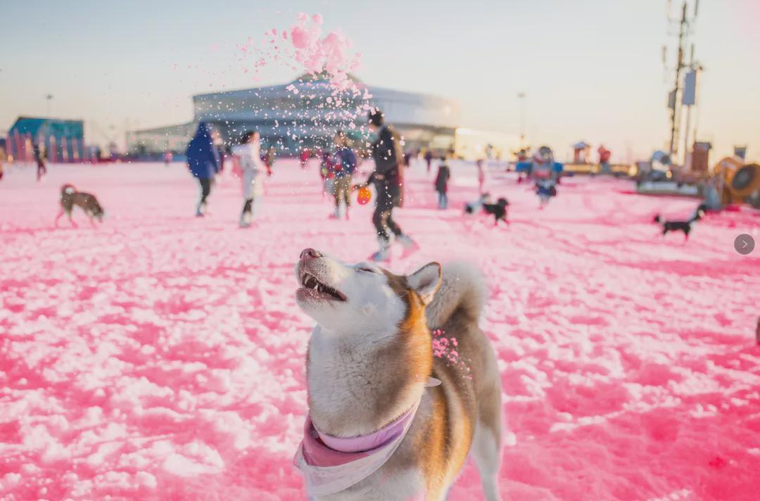 小信的世界最新科技前沿產品亮相，生活變革從此刻啟程
