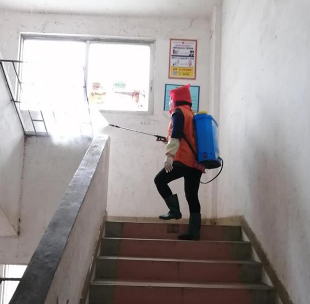 蓬江區(qū)最新高科技住宅，重塑未來生活體驗(yàn)的首選之地