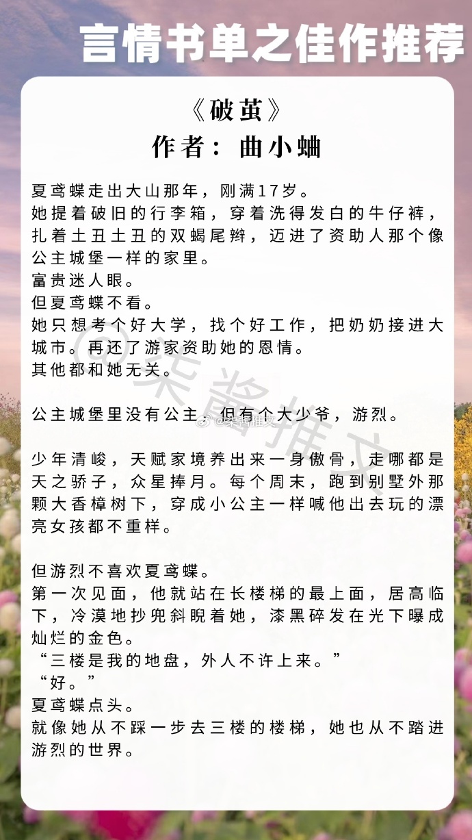 夢莜二最新小說，自然之旅的奇妙探險之旅