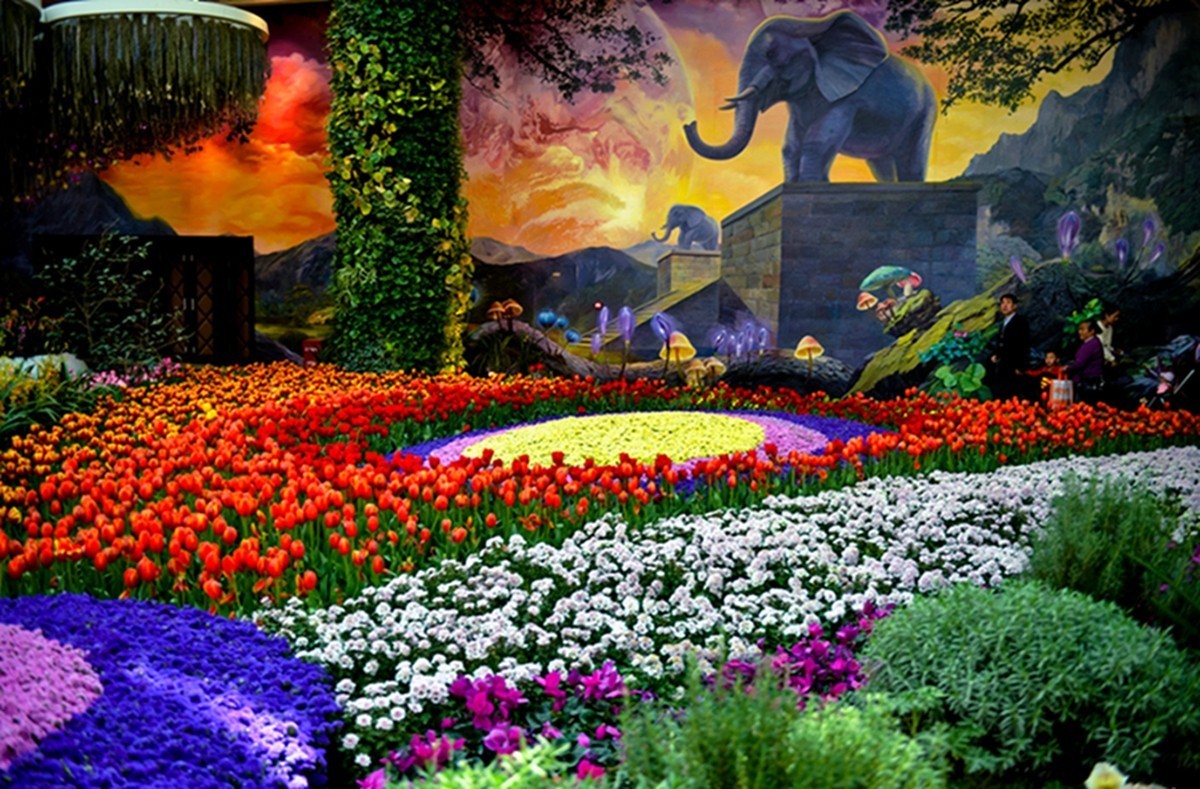 花境最新版，探索最新花卉世界的奧秘與魅力