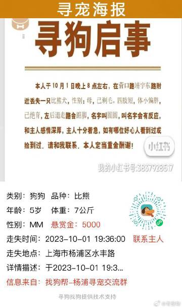 上海狗狗領(lǐng)養(yǎng)最新資訊